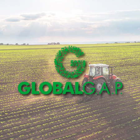 Globalgap'ın Gelişimi
