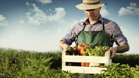 Organik Tarım'ın Farkı Nedir?